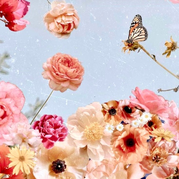 ✨ - Picture 1 of 1